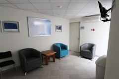 DM_Clinic_12